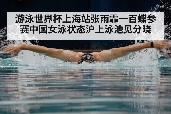 butterfly stroke swimmer underwater